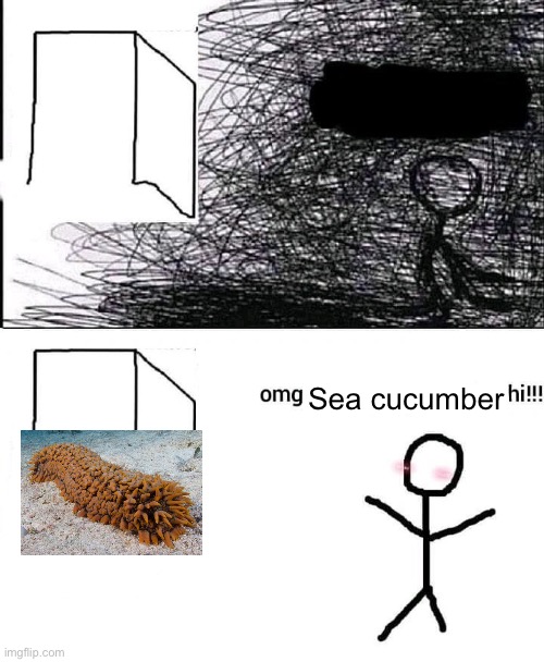 OMG hi | Sea cucumber | image tagged in omg hi | made w/ Imgflip meme maker