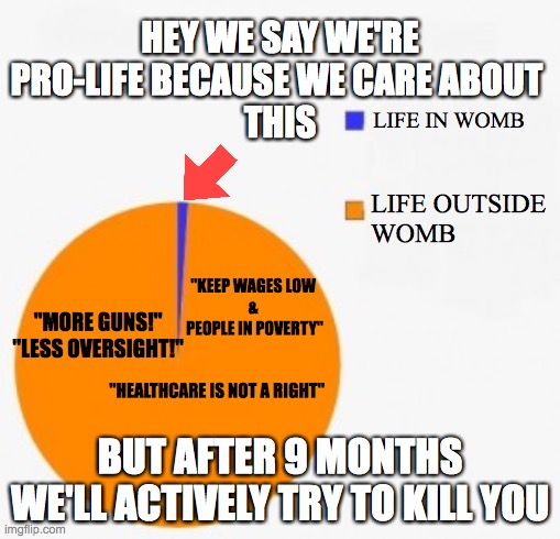 "Pro-life" | HEY WE SAY WE'RE PRO-LIFE BECAUSE WE CARE ABOUT 
THIS; LIFE IN WOMB; LIFE OUTSIDE 
WOMB; "KEEP WAGES LOW
&
 PEOPLE IN POVERTY"; "MORE GUNS!"
"LESS OVERSIGHT!"; "HEALTHCARE IS NOT A RIGHT"; BUT AFTER 9 MONTHS WE'LL ACTIVELY TRY TO KILL YOU | image tagged in pie chart/ percentage,politics,abortion | made w/ Imgflip meme maker