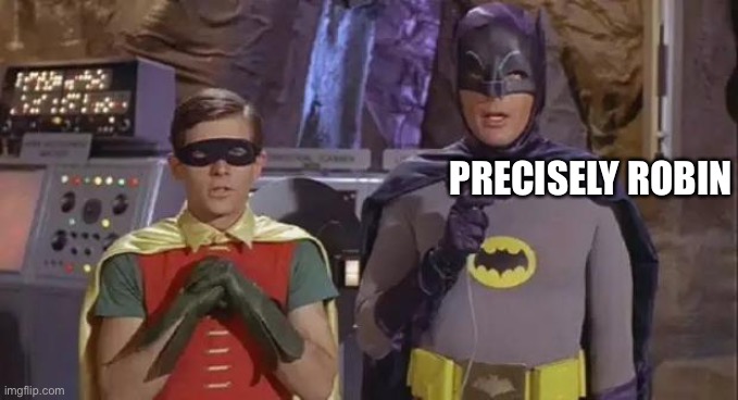 Precisely | PRECISELY ROBIN | image tagged in precisely batman,batman,robin,batman and robin | made w/ Imgflip meme maker