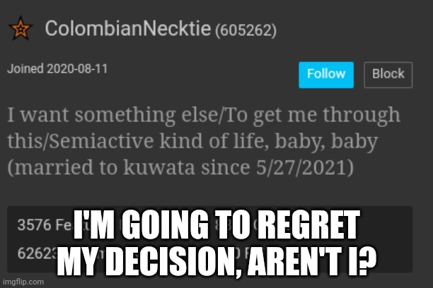 Unblocked | I'M GOING TO REGRET MY DECISION, AREN'T I? | made w/ Imgflip meme maker