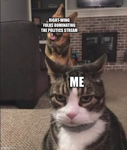 Cat and dog. | RIGHT-WING FOLKS DOMINATING THE POLITICS STREAM; ME | image tagged in happy dog and annoyed cat | made w/ Imgflip meme maker