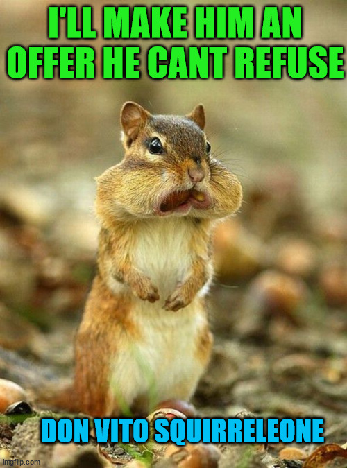 I'LL MAKE HIM AN OFFER HE CANT REFUSE; DON VITO SQUIRRELEONE | image tagged in eye roll | made w/ Imgflip meme maker