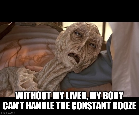 Alien Dying | WITHOUT MY LIVER, MY BODY CAN’T HANDLE THE CONSTANT BOOZE | image tagged in alien dying | made w/ Imgflip meme maker