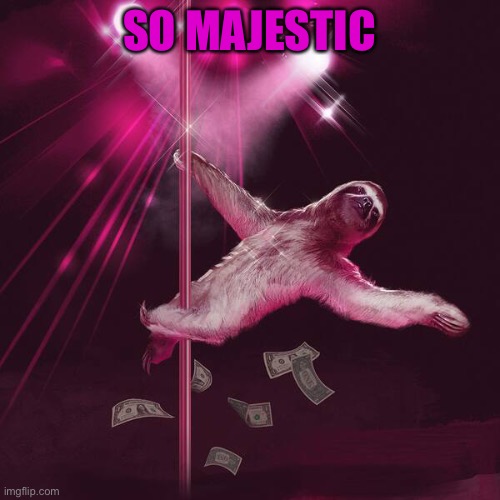 Stripper sloth | SO MAJESTIC | image tagged in stripper sloth | made w/ Imgflip meme maker