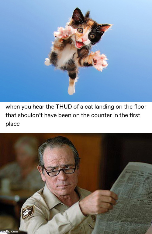 image tagged in cat jumping | made w/ Imgflip meme maker