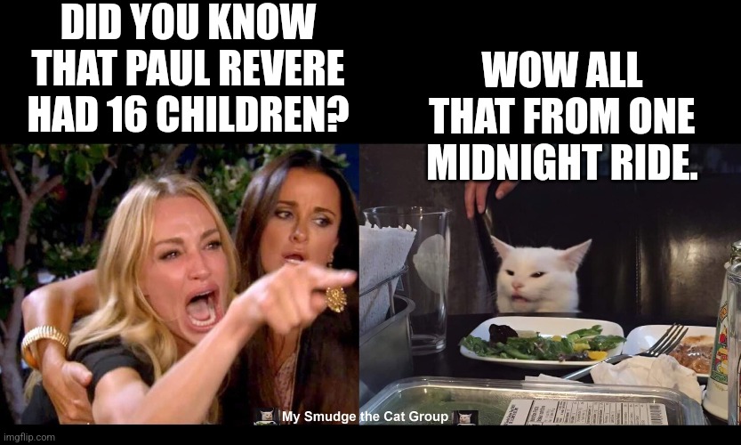DID YOU KNOW THAT PAUL REVERE HAD 16 CHILDREN? WOW ALL THAT FROM ONE MIDNIGHT RIDE. | image tagged in smudge the cat,woman yelling at cat,funny | made w/ Imgflip meme maker