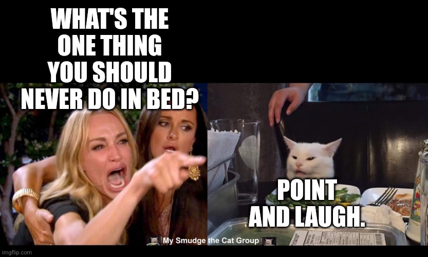 WHAT'S THE ONE THING YOU SHOULD NEVER DO IN BED? POINT AND LAUGH. | image tagged in smudge the cat | made w/ Imgflip meme maker