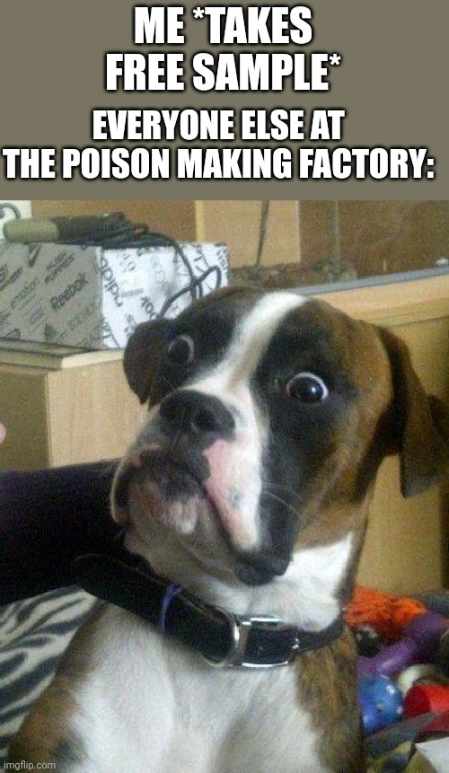 Surprised Dog |  ME *TAKES FREE SAMPLE*; EVERYONE ELSE AT THE POISON MAKING FACTORY: | image tagged in surprised dog | made w/ Imgflip meme maker