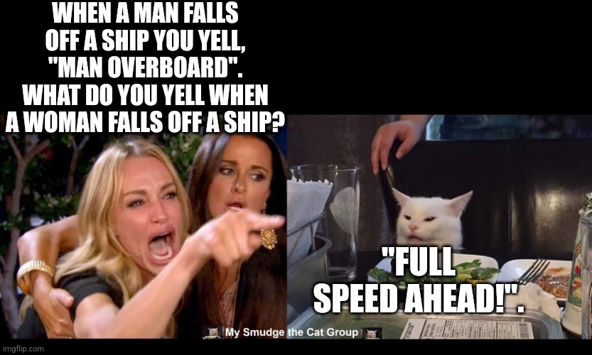 WHEN A MAN FALLS OFF A SHIP YOU YELL, "MAN OVERBOARD". WHAT DO YOU YELL WHEN A WOMAN FALLS OFF A SHIP? "FULL SPEED AHEAD!". | image tagged in smudge the cat | made w/ Imgflip meme maker