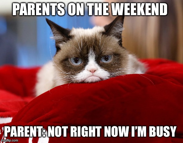 Parents on the weekend | PARENTS ON THE WEEKEND; PARENT: NOT RIGHT NOW I’M BUSY | image tagged in parents,weekend | made w/ Imgflip meme maker