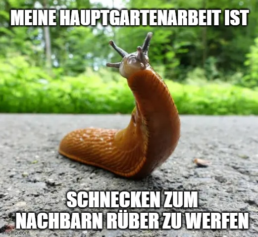 Snails for the Neighbourhood | MEINE HAUPTGARTENARBEIT IST; SCHNECKEN ZUM NACHBARN RÜBER ZU WERFEN | image tagged in snail,clever,neighbors,gardening | made w/ Imgflip meme maker