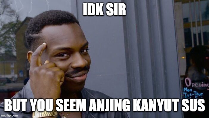 But nothing seem anjing kanyut sus | IDK SIR; BUT YOU SEEM ANJING KANYUT SUS | image tagged in memes,roll safe think about it | made w/ Imgflip meme maker