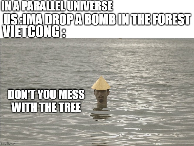 vietnam woooo | IN A PARALLEL UNIVERSE; US :IMA DROP A BOMB IN THE FOREST; VIETCONG :; DON'T YOU MESS WITH THE TREE | image tagged in vietnam | made w/ Imgflip meme maker
