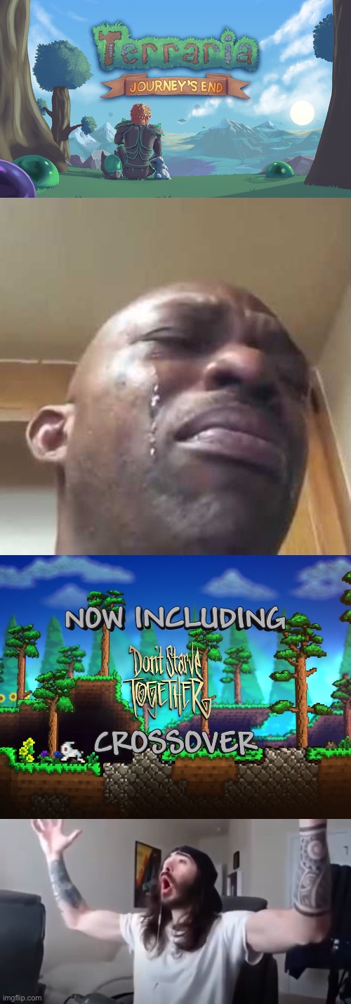Only terraria players would understand | image tagged in crying black guy,woo yeah baby thats what we've been waiting for | made w/ Imgflip meme maker