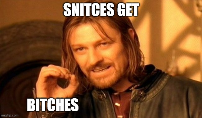 One Does Not Simply Meme | SNITCES GET; BITCHES | image tagged in memes,one does not simply | made w/ Imgflip meme maker