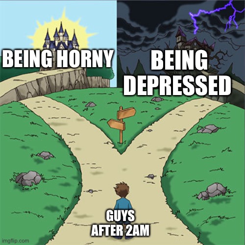 The left option | BEING HORNY; BEING DEPRESSED; GUYS AFTER 2AM | image tagged in two paths | made w/ Imgflip meme maker