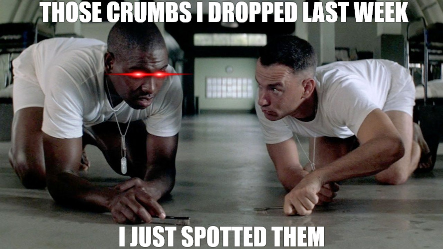 PARTY TIME | THOSE CRUMBS I DROPPED LAST WEEK; I JUST SPOTTED THEM | image tagged in forrest and bubba | made w/ Imgflip meme maker