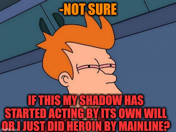 -I really don't remember. | -NOT SURE; IF THIS MY SHADOW HAS STARTED ACTING BY ITS OWN WILL OR I JUST DID HEROIN BY MAINLINE? | image tagged in stoned fry,shadow the hedgehog,heroin,don't do drugs,ur acting kinda sus,not sure if | made w/ Imgflip meme maker