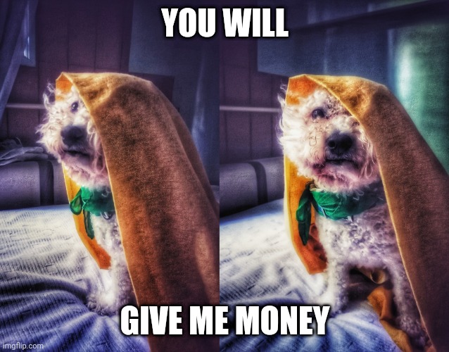You will give me money | YOU WILL; GIVE ME MONEY | image tagged in leo the jedy | made w/ Imgflip meme maker