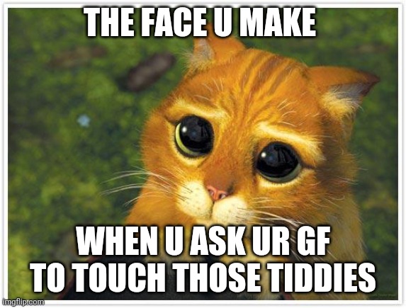 Just a little grab... i mean touch | THE FACE U MAKE; WHEN U ASK UR GF TO TOUCH THOSE TIDDIES | image tagged in memes,shrek cat | made w/ Imgflip meme maker