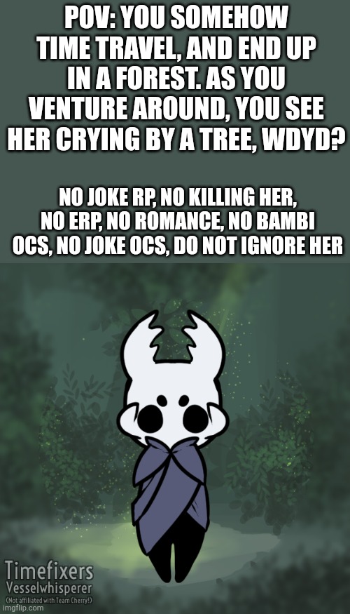 Young Scarab | POV: YOU SOMEHOW TIME TRAVEL, AND END UP IN A FOREST. AS YOU VENTURE AROUND, YOU SEE HER CRYING BY A TREE, WDYD? NO JOKE RP, NO KILLING HER, NO ERP, NO ROMANCE, NO BAMBI OCS, NO JOKE OCS, DO NOT IGNORE HER | image tagged in hollow knight | made w/ Imgflip meme maker