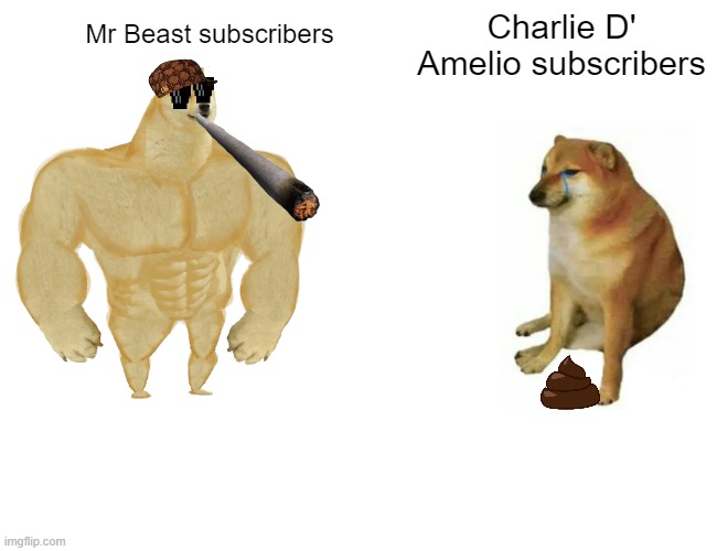 facts | Charlie D' Amelio subscribers; Mr Beast subscribers | image tagged in memes,buff doge vs cheems | made w/ Imgflip meme maker