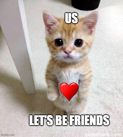 Cute Cat | US; LET'S BE FRIENDS | image tagged in memes,cute cat | made w/ Imgflip meme maker