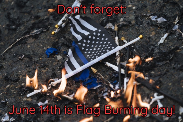 Or use it as toilet paper. | Don't forget:; June 14th is Flag Burning day! | image tagged in burning thin blue line flag,holiday,scumbag america | made w/ Imgflip meme maker