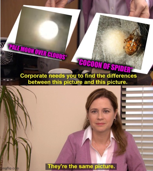 -Nature things. | *PALE MOON OVER CLOUDS*; *COCOON OF SPIDER* | image tagged in memes,they're the same picture,spiderman,full moon,sky,night | made w/ Imgflip meme maker