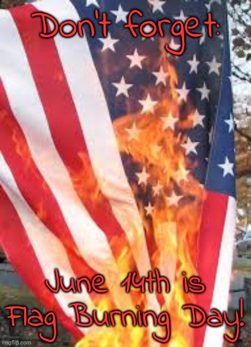 Also useful if you run out of toilet paper. | Don't forget:; June 14th is Flag Burning Day! | image tagged in american flag burning,scumbag america,holiday | made w/ Imgflip meme maker