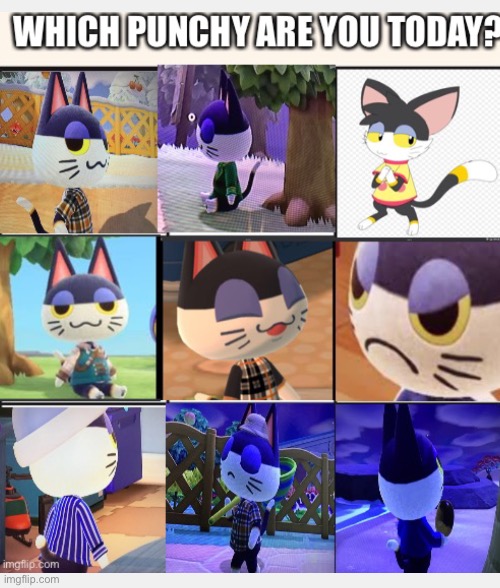 Witch Punchy are you | image tagged in animal crossing,meme,which are you | made w/ Imgflip meme maker