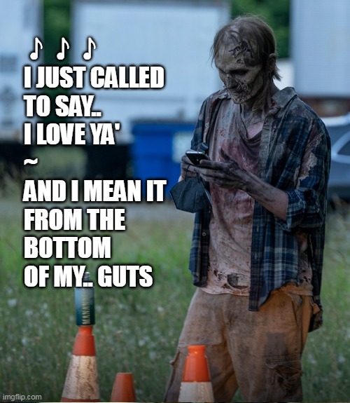 The Walking Dead is calling you x)))) | 🎵🎵🎵 
I JUST CALLED 
TO SAY.. 
I LOVE YA'
~
AND I MEAN IT 
FROM THE 
BOTTOM 
OF MY.. GUTS | image tagged in thewalkingdead,funny,funny memes,twd,twd meme,zombies | made w/ Imgflip meme maker