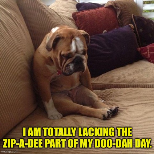 Zip | I AM TOTALLY LACKING THE ZIP-A-DEE PART OF MY DOO-DAH DAY. | image tagged in sad dog | made w/ Imgflip meme maker