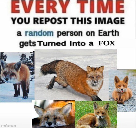 image tagged in repost the fox | made w/ Imgflip meme maker