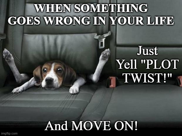 PLOT TWIST | WHEN SOMETHING GOES WRONG IN YOUR LIFE; Just Yell "PLOT TWIST!"; And MOVE ON! | image tagged in funny dog back seat | made w/ Imgflip meme maker