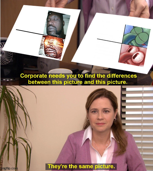 They're The Same Picture | _____ | image tagged in memes,they're the same picture | made w/ Imgflip meme maker