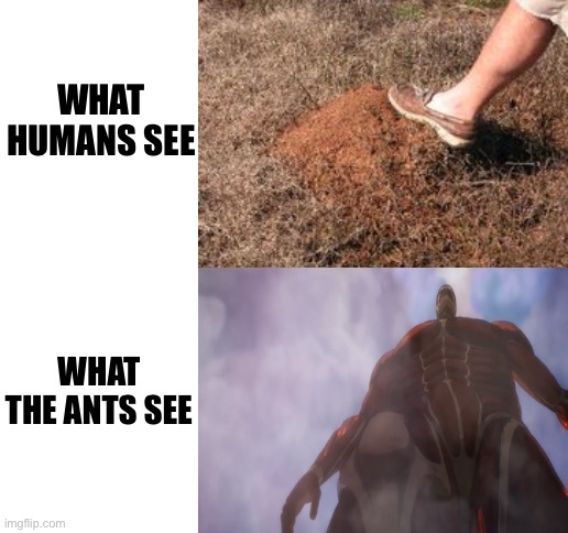 WHAT HUMANS SEE; WHAT THE ANTS SEE | image tagged in attack on titan | made w/ Imgflip meme maker