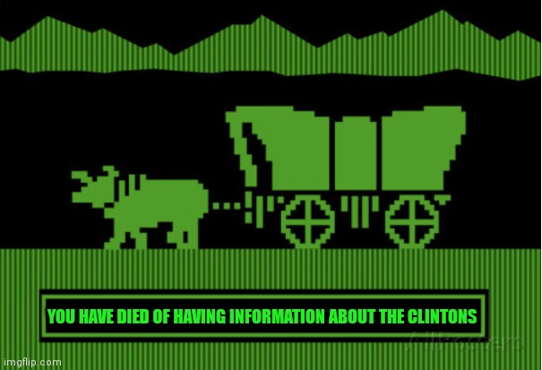Oregon Trail Blank | YOU HAVE DIED OF HAVING INFORMATION ABOUT THE CLINTONS | image tagged in oregon trail blank | made w/ Imgflip meme maker