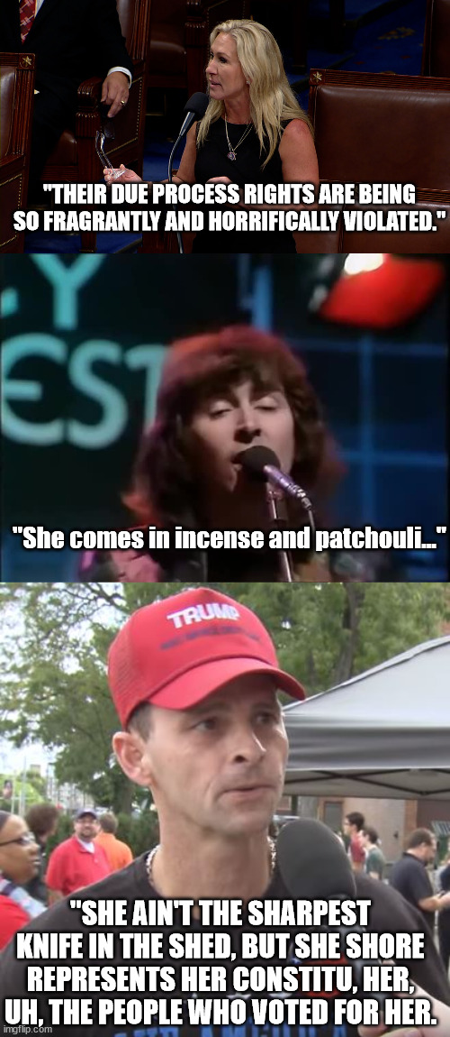 Idiot MTG adds to her legend. | "THEIR DUE PROCESS RIGHTS ARE BEING SO FRAGRANTLY AND HORRIFICALLY VIOLATED."; "She comes in incense and patchouli..."; "SHE AIN'T THE SHARPEST KNIFE IN THE SHED, BUT SHE SHORE REPRESENTS HER CONSTITU, HER, UH, THE PEOPLE WHO VOTED FOR HER. | image tagged in trump supporter,mtg thick as a brick | made w/ Imgflip meme maker