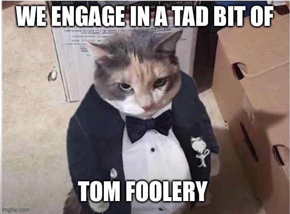 How did you know I’m British | WE ENGAGE IN A TAD BIT OF; TOM FOOLERY | image tagged in fancy cat | made w/ Imgflip meme maker