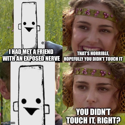 Anakin Padme 4 Panel | I HAD MET A FRIEND WITH AN EXPOSED NERVE; THAT’S HORRIBLE, HOPEFULLY YOU DIDN’T TOUCH IT; YOU DIDN’T TOUCH IT, RIGHT? | image tagged in anakin padme 4 panel,exposed nerve,memes | made w/ Imgflip meme maker