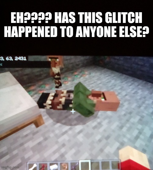 EH???? HAS THIS GLITCH HAPPENED TO ANYONE ELSE? | made w/ Imgflip meme maker