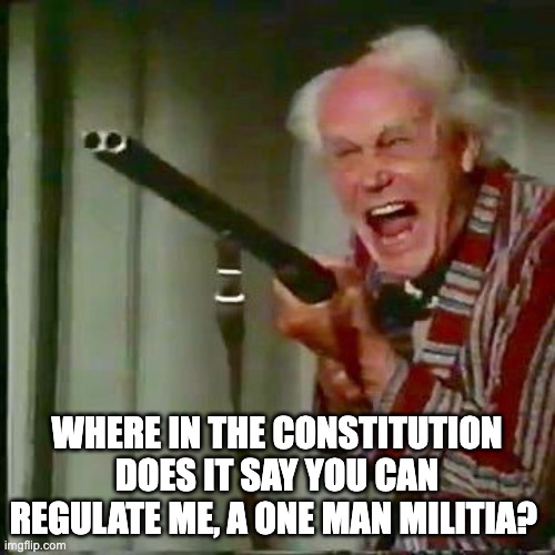 Old man with gun | WHERE IN THE CONSTITUTION DOES IT SAY YOU CAN REGULATE ME, A ONE MAN MILITIA? | image tagged in old man with gun | made w/ Imgflip meme maker