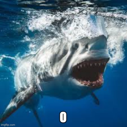 O | image tagged in mommy shark do do do do do | made w/ Imgflip meme maker