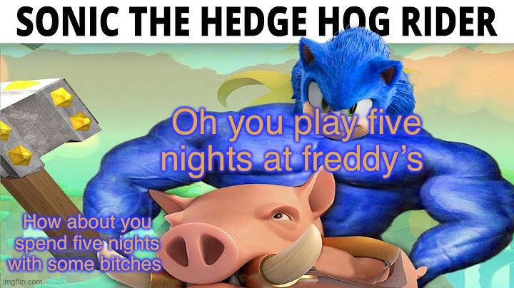 Sonic da hedge hog rida | Oh you play five nights at freddy’s; How about you spend five nights with some bitches | image tagged in sonic da hedge hog rida | made w/ Imgflip meme maker
