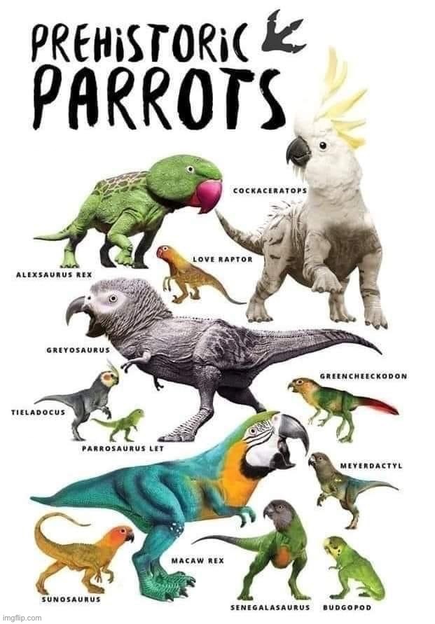 Prehistoric parrots | image tagged in prehistoric parrots | made w/ Imgflip meme maker