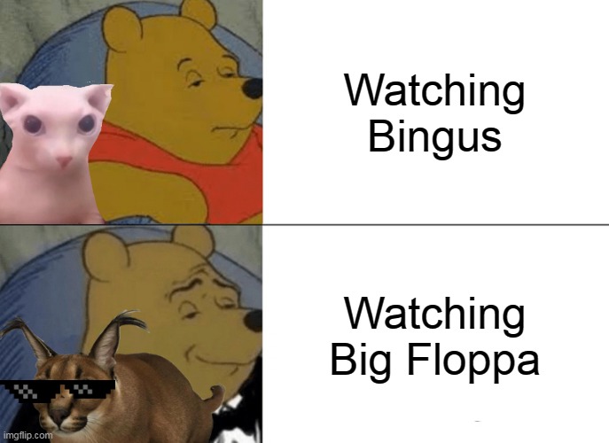 Don't mind me if you are a Bingus fan | Watching Bingus; Watching Big Floppa | image tagged in memes,tuxedo winnie the pooh | made w/ Imgflip meme maker