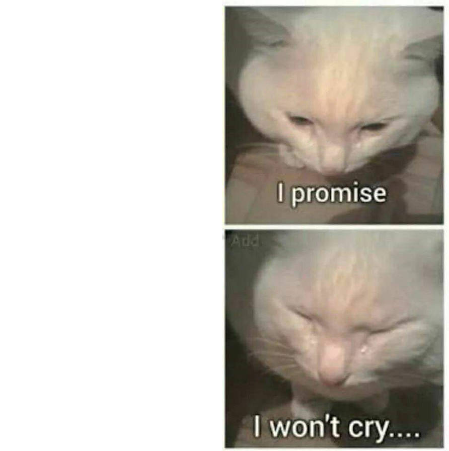 i promise i wont cry template Blank Meme Template