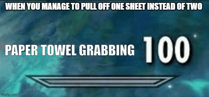Paper Towel Skill | WHEN YOU MANAGE TO PULL OFF ONE SHEET INSTEAD OF TWO; PAPER TOWEL GRABBING | image tagged in skyrim skill meme | made w/ Imgflip meme maker