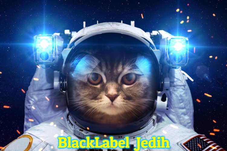 Space Cat 2 | BlackLabel  Jedih | image tagged in space cat 2,slavic,blacklabel jedih,freddie fingaz | made w/ Imgflip meme maker